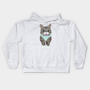 Lil Bub the Internet Cat Kids Hoodie